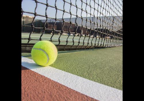 una palla da tennis seduta su un campo da tennis di Athena Casa Vacanze a Numana
