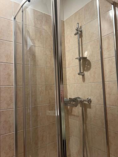 y baño con ducha y puerta de cristal. en Zlonice - Ubytování 1kk en Slaný