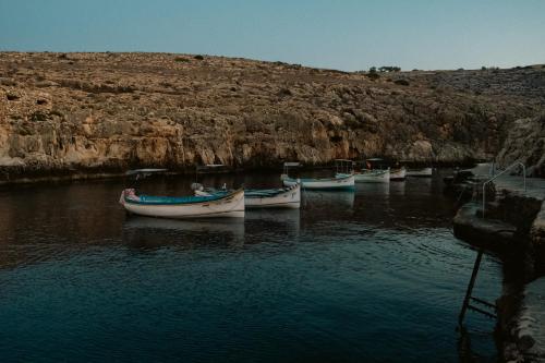 a group of boats docked in a body of water at Deep Blu Boutique Hotel in Żurrieq
