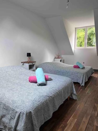 - 2 lits avec des oreillers dans une chambre dans l'établissement Vaste Maison à la campagne, à Saint-Paterne-Racan