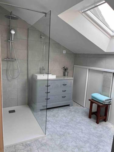 une salle de bain avec une douche, un lavabo et des toilettes dans l'établissement Vaste Maison à la campagne, à Saint-Paterne-Racan