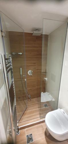 La salle de bains est pourvue de toilettes et d'une douche en verre. dans l'établissement AIRNEST Comfort residence, à Thessalonique