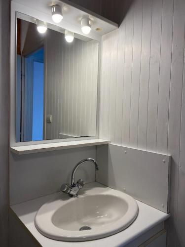 une salle de bain avec un lavabo et un miroir dans l'établissement MAISON Au LAC DU DER '' LES COCCINELLES 41 '', à Giffaumont