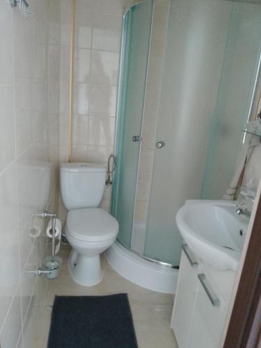een badkamer met een toilet, een douche en een wastafel bij Motel Królowej Jadwigi Alicja Szymańska-Pokoje na Ogrodowej in Sandomierz