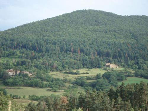 a hillside with a house in the middle of a field at gîte Lo Jaç de Foart 10 pers. in Bosas