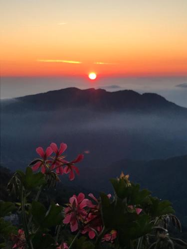 a sunset over the mountains with flowers in the foreground at Pian Munè appartamento (San Lorenzo) in Paesana