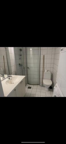 uma casa de banho com um lavatório e um WC em DX Oslo Center em Oslo