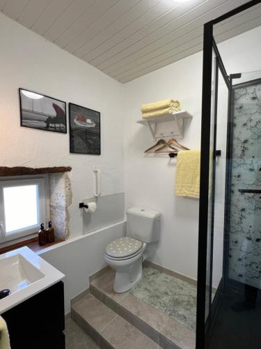 y baño con aseo, lavabo y ducha. en Cosy apartment with swimming pool near Aubeterre, en Saint-Romain