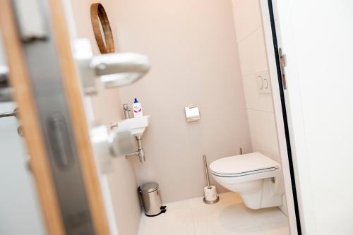 a small bathroom with a toilet and a sink at Welcome in - Appartement - Paviljoenwei 4 - Sneek 'Havenzicht' in Offingawier