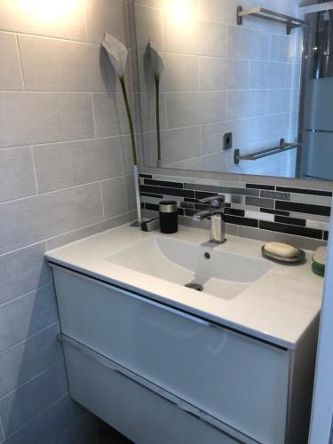ein Badezimmer mit einem weißen Waschbecken und einem Spiegel in der Unterkunft Cocoloclouvigny in Louvigny