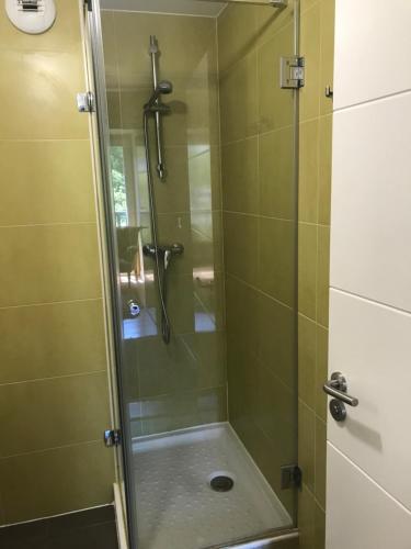 a shower with a glass door in a bathroom at Appartement à côté de la plage avec piscine climatisé in Hendaye