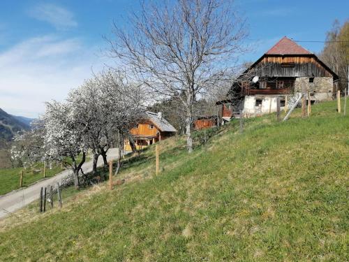 an old house on a hill with trees and a road at Lärchenhaus ,,Unterer Brodl" in Kammersberg