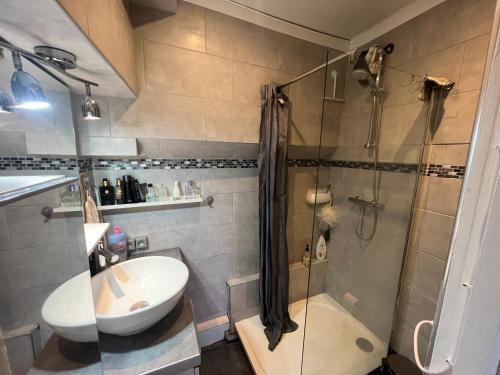 une salle de bain avec une douche, un lavabo et des toilettes dans l'établissement Chambre à louer dans maison de ville cosy proche rer A, à Limeil-Brévannes