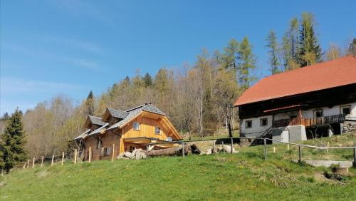 a wooden house on a hill next to a forest at Lärchenhaus ,,Unterer Brodl" in Kammersberg