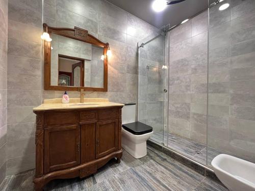 La salle de bains est pourvue d'un lavabo, de toilettes et d'une douche. dans l'établissement Villa Nor Hachn, Kotayq, à Nor Hachyn