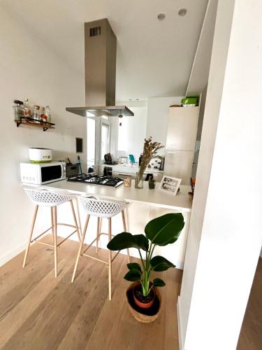eine Küche mit einem Tisch, Stühlen und einer Pflanze in der Unterkunft Lumineux Haussmanien du Nord in Brüssel
