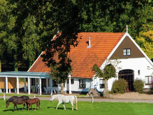 a group of horses grazing in front of a house at Tidy chalet with a microwave in the Achterhoek in Ootmarsum