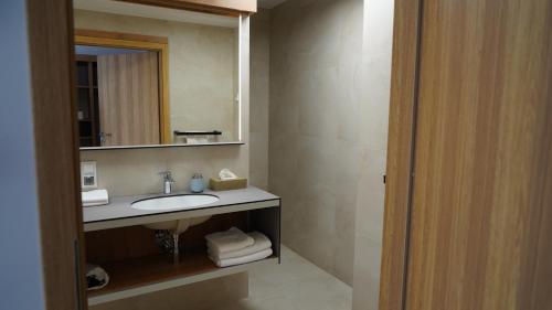 uma casa de banho com um lavatório e um espelho em Aparthotel Passage em Giżycko