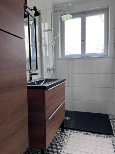 un baño con lavabo y ducha en LES FERMES DE PINPIN - LE PAVILLON, en Labaroche