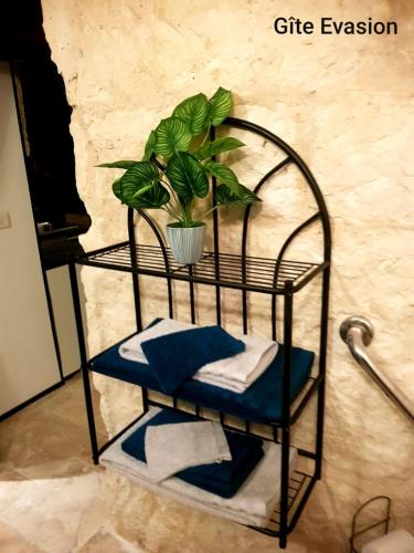 a shelf with a potted plant on it in a bathroom at Évasion in Les Roches-lʼÉvêque