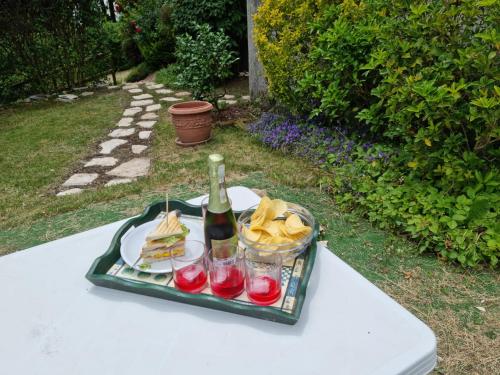 una bandeja de comida y una botella de vino en una mesa en LE BETULLE B&B en Pove del Grappa