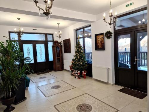Lobi atau kawasan kaunter penerimaan di Pensiunea Izvorul Liniștii