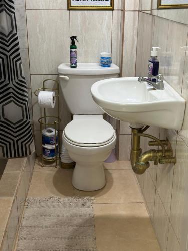 ein Bad mit einem WC und einem Waschbecken in der Unterkunft Cozy Quarters Tobago in Scarborough