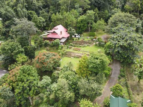 an aerial view of a house in the middle of a forest at Muangkham Cabin in Chiang Mai