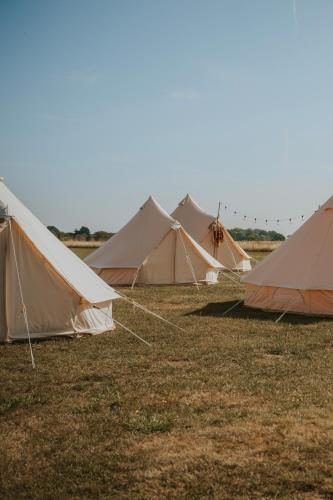 um grupo de tendas sentadas num campo em Glamping at Beaumont Paddocks em Saint Albans