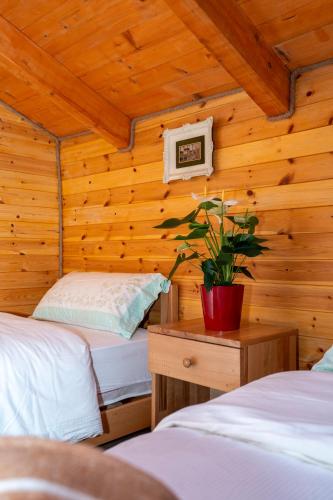 Ένα ή περισσότερα κρεβάτια σε δωμάτιο στο Bee Eco Guest House