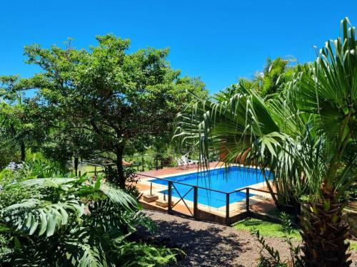 a swimming pool in the middle of a garden at Cabañas Doralia in Oberá