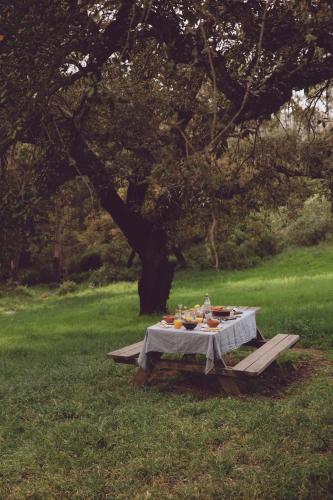 En have udenfor Muxima - Aljezur