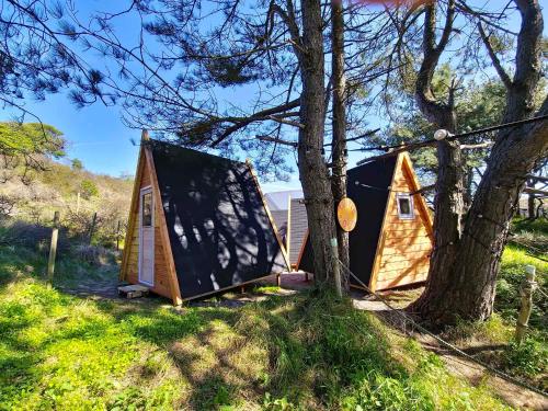 a couple of tents sitting next to a tree at Surfana Beach Bed & Breakfast Bloemendaal in Overveen
