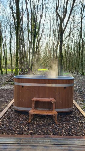 Foto dalla galleria di Le Domaine Insolite de Brocéliande a Paimpont