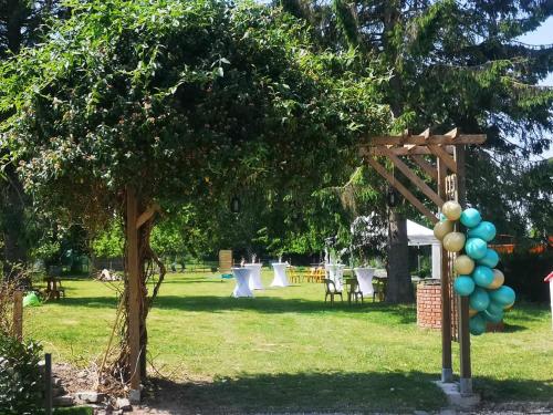 a party in a park with a bunch of balloons at L'immortel spa 2 in Cauchy-à-la-Tour