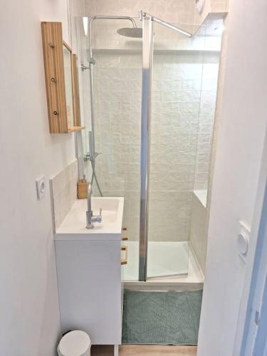 une salle de bain avec une douche, un lavabo et des toilettes dans l'établissement Coquet appartement rénové vue étangs, à Palavas-les-Flots