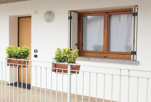 two potted plants on a balcony of a building at Charming & Modern in the city in Bergamo