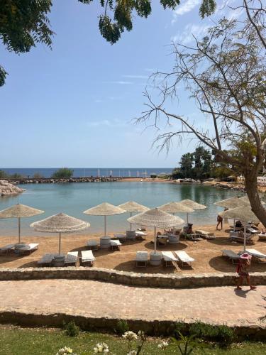 a group of umbrellas and chairs on a beach at Domina coral bay resort direct beach and lake 1 in Sharm El Sheikh