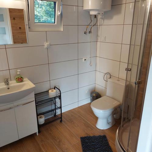 a bathroom with a toilet and a sink and a shower at Domek letniskowy Słoneczny Zakątek in Frombork