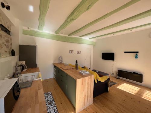 uma grande sala de estar com um tecto verde em Appartement Les Capucines em Villecroze