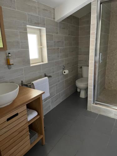 a bathroom with a sink and a toilet and a shower at Logis Hôtel Restaurant La Sommellerie in Châteauneuf-du-Pape