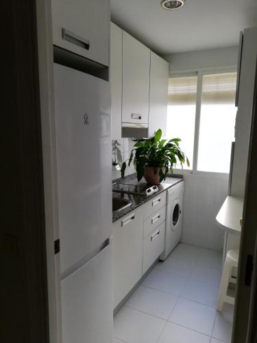 una cocina con armarios blancos y una planta en ella en APARTAMENTO EDIFICIO SEVILLA II, en Jerez de la Frontera