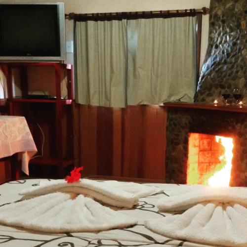 a bed with a fireplace in a room with a tv at Pousada Canário Da Terra in Visconde De Maua