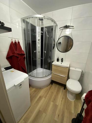 a bathroom with a shower and a toilet and a sink at Apartament pod Kotwicą in Nowa Sól