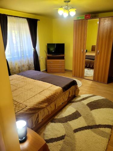 a bedroom with a bed and a table and a television at Casa OPRIȚA in Hobiţa Grădişte