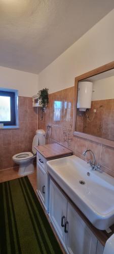 a bathroom with a sink and a toilet and a mirror at Apartma Aria&Karra in Komen
