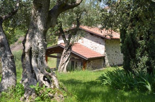 a house in the middle of a field with trees at Residence San Michele in Costermano sul Garda