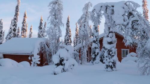 una casa cubierta de nieve frente a los árboles en Verträumtes Blockhaus mitten im Wald, en Rauhala