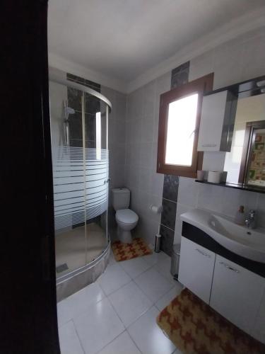 a bathroom with a shower and a toilet and a sink at Jasmin Apart Otel in Göcek