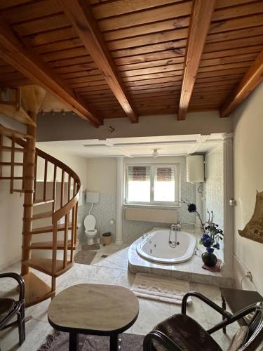 a bathroom with a bath tub in a room at Villa Oaza in Bela Crkva